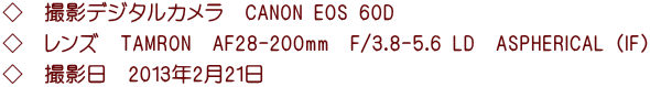 ◇　撮影デジタルカメラ　CANON EOS 60D ◇　レンズ　TAMRON　AF28-200mm　F/3.8-5.6 LD　ASPHERICAL (IF) ◇　撮影日　2013年2月21日