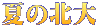 夏の北大