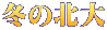 冬の北大