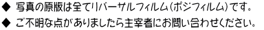 ◆ 写真の原版は全てリバーサルフィルム（ポジフィルム）です。   ◆ ご不明な点がありましたら主宰者にお問い合わせください。