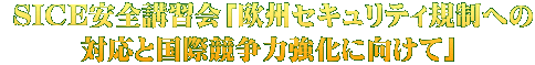  SICE安全講習会「欧州セキュリティ規制への 対応と国際競争力強化に向けて」