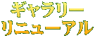 ギャラリー リニューアル